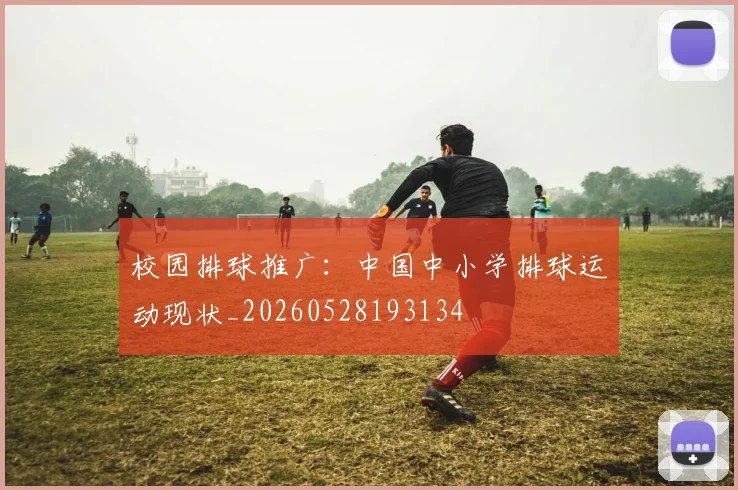 校园排球推广：中国中小学排球运动现状_20260528193134