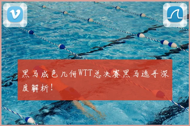 黑马成色几何WTT总决赛黑马选手深度解析！