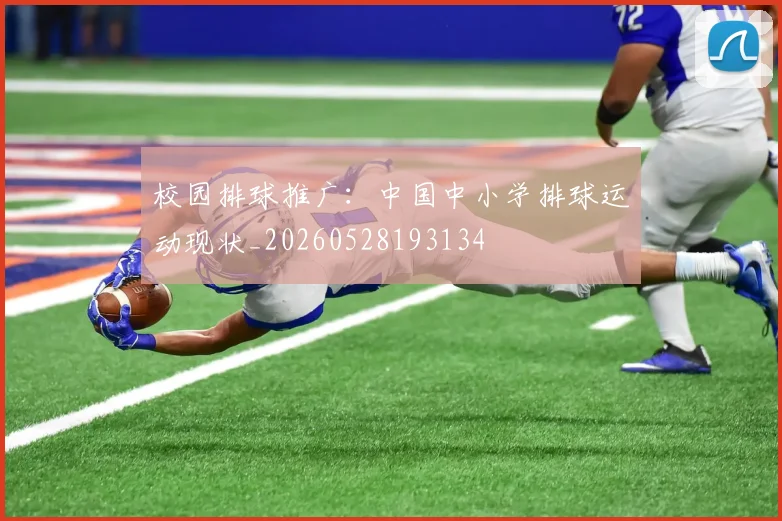 校园排球推广：中国中小学排球运动现状_20260528193134